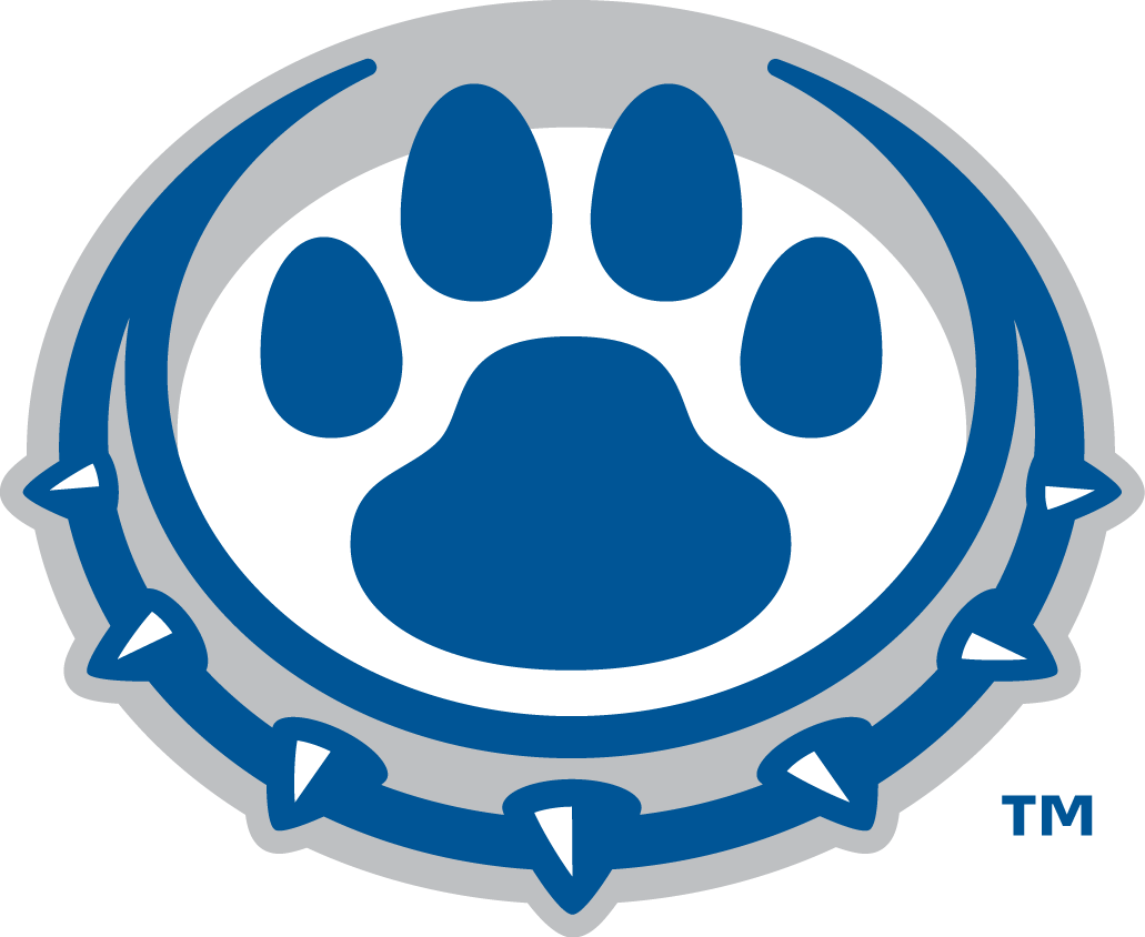Drake Bulldogs 2015-Pres Alternate Logo diy iron on heat transfer